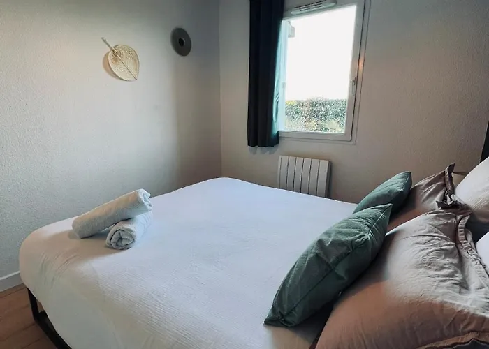 Le Nid De Carivel Daire Graulhet